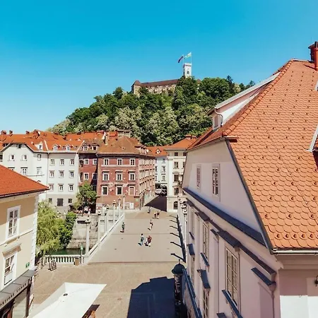 Stanovanje V Centru Starega Mestnega Jedra